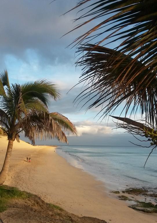 Apartamentos Palm Garden By Livvo Морро-дель-Хабле Экстерьер фото